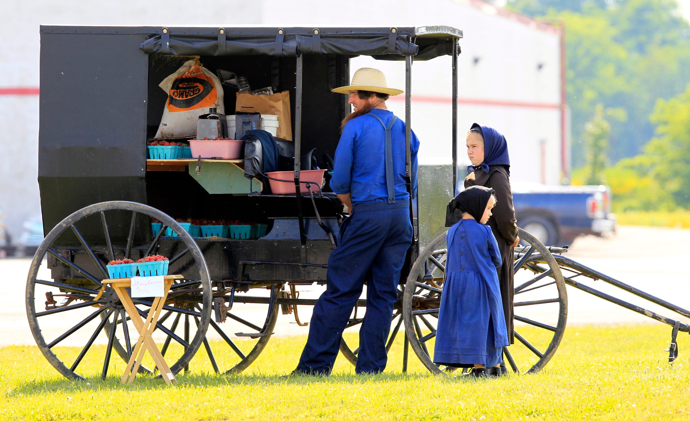 buggy service meaning